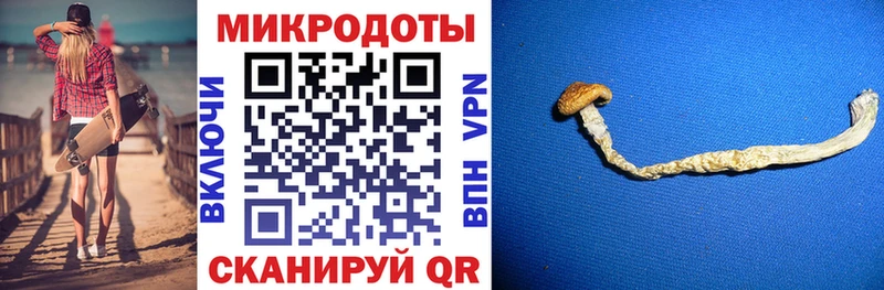 Псилоцибиновые грибы Cubensis  Оса 